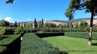 stello di Nelson-15-09-2014 07-48-03